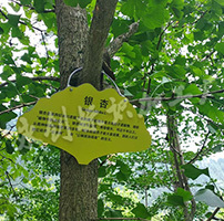 陜西景區(qū)植物介紹牌，旬陽壩景區(qū)動植物說明牌制作