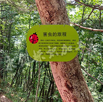 陜西景區(qū)動植物介紹牌標識標牌制作完美收工