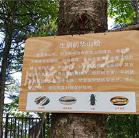 陜西旬陽壩景區(qū)標識標牌制作項目完美收工